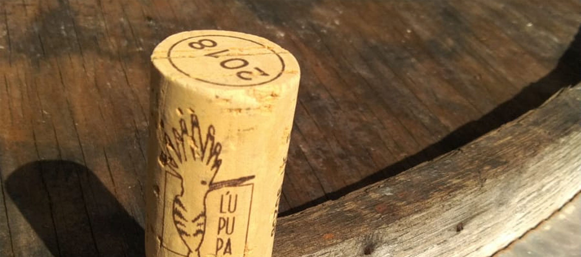 I nostri vini